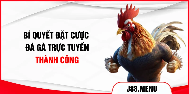 Bí quyết đặt cược đá gà trực tuyến thành công