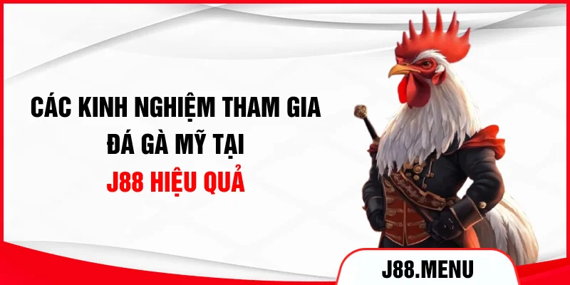 Các kinh nghiệm tham gia đá gà Mỹ tại J88 hiệu quả