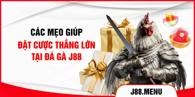 Các mẹo giúp đặt cược thắng lớn tại đá gà J88