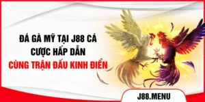 Đá Gà Mỹ Tại J88 - Cá Cược Hấp Dẫn Cùng Trận Đấu Kinh Điển