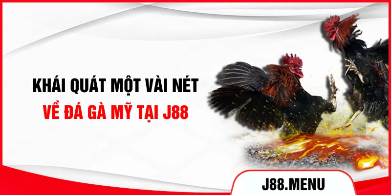 Khái quát một vài nét về đá gà Mỹ tại J88