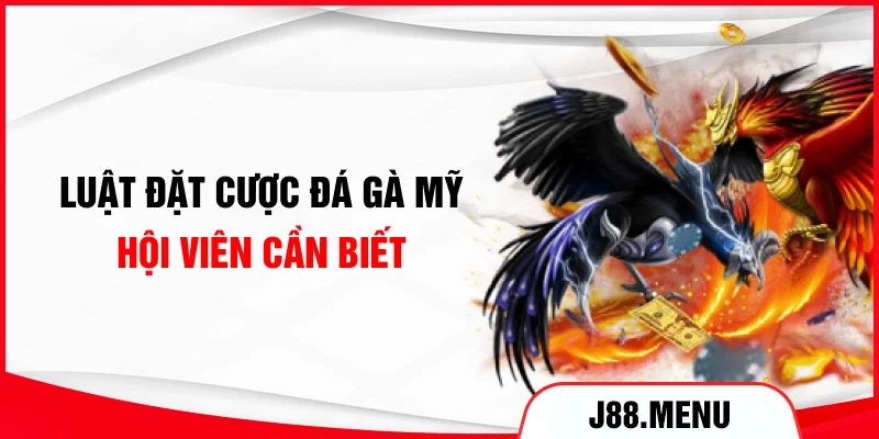 Luật đặt cược đá gà Mỹ hội viên cần biết