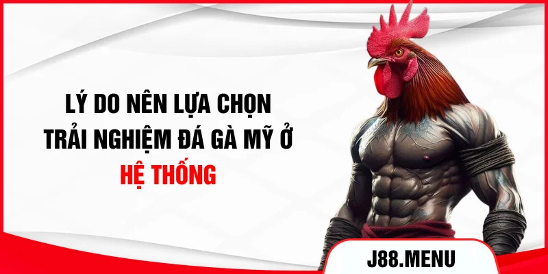 Lý do nên lựa chọn trải nghiệm đá gà Mỹ ở hệ thống