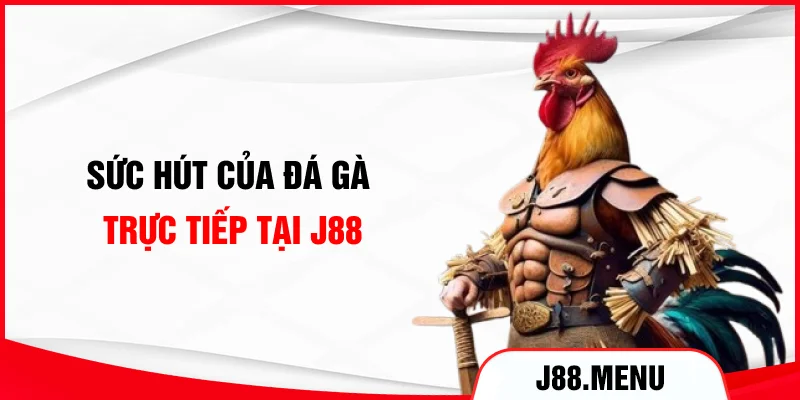 Sức hút của đá gà trực tiếp tại J88