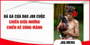 Đá Gà Cựa Dao J88 - Cuộc Chiến Giữa Những Chiến Kê Dũng Mãnh