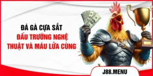 Đá Gà Cựa Sắt - Đấu Trường Nghệ Thuật Và Máu Lửa Cùng J88