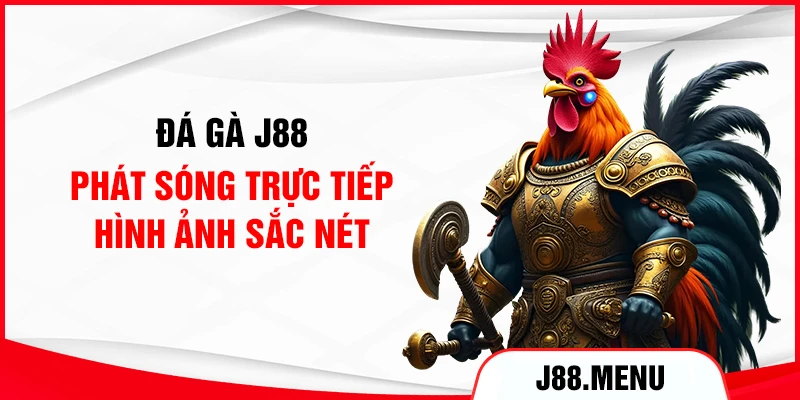 Đá gà J88 phát sóng trực tiếp hình ảnh sắc nét