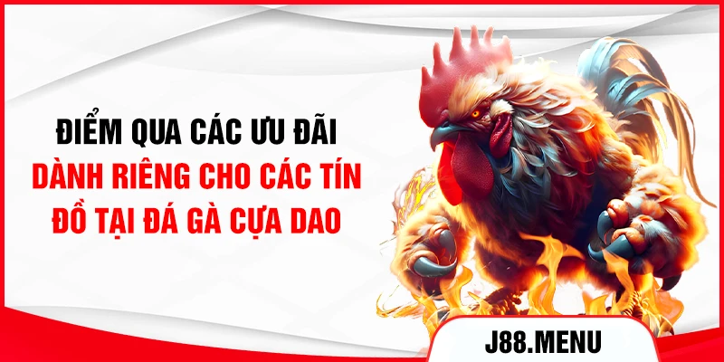 Điểm qua các ưu đãi dành riêng cho các tín đồ tại đá gà cựa dao