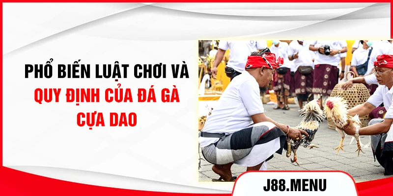 Phổ biến luật chơi và quy định của đá gà cựa dao 
