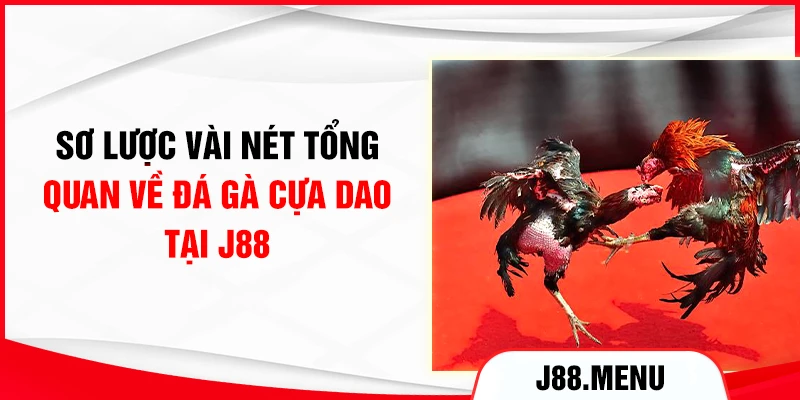 Sơ lược vài nét tổng quan về đá gà cựa dao tại J88